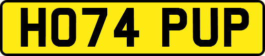 HO74PUP