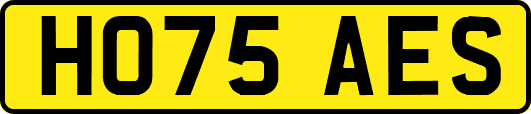 HO75AES