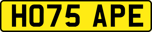 HO75APE