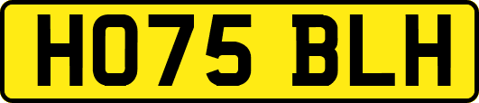 HO75BLH
