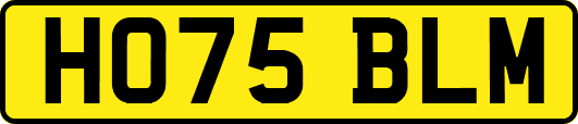 HO75BLM