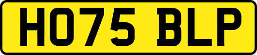 HO75BLP