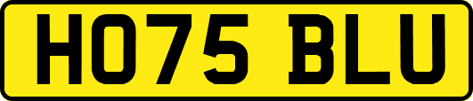 HO75BLU