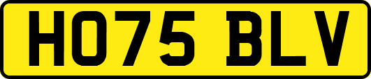 HO75BLV