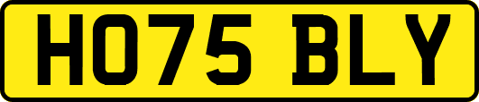 HO75BLY