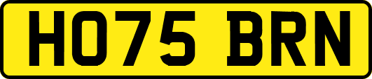 HO75BRN