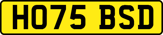 HO75BSD
