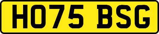 HO75BSG
