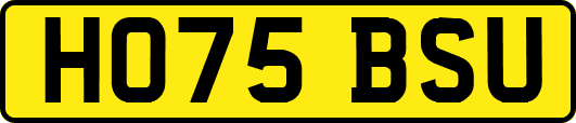 HO75BSU