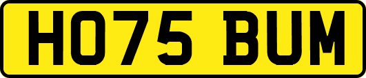 HO75BUM