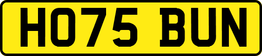 HO75BUN