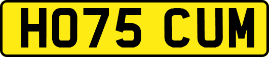 HO75CUM