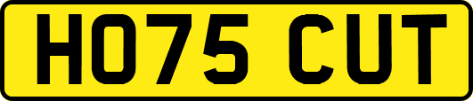 HO75CUT