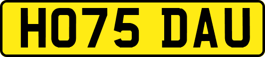 HO75DAU