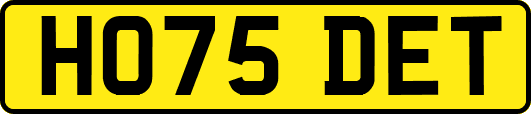 HO75DET