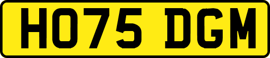 HO75DGM