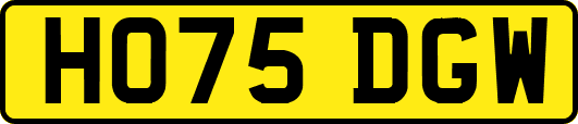 HO75DGW
