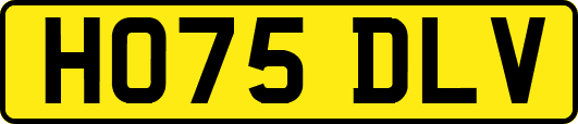HO75DLV