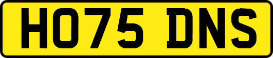 HO75DNS