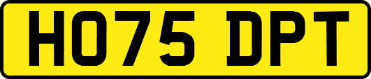 HO75DPT