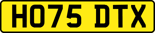 HO75DTX