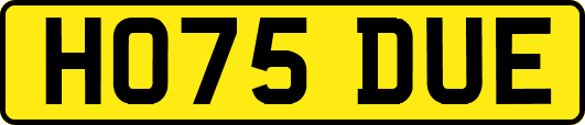 HO75DUE