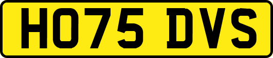 HO75DVS