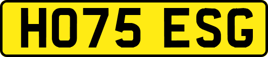 HO75ESG