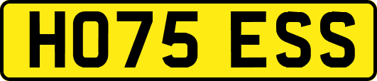 HO75ESS