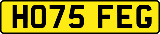 HO75FEG