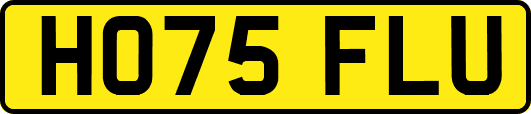 HO75FLU