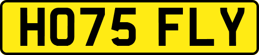 HO75FLY