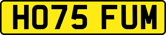 HO75FUM