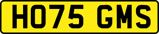 HO75GMS