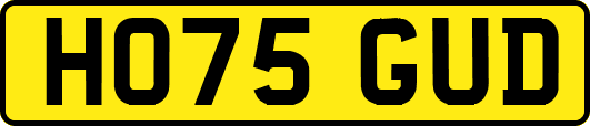 HO75GUD