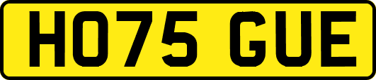 HO75GUE