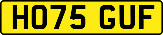 HO75GUF