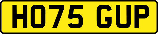 HO75GUP