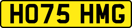HO75HMG
