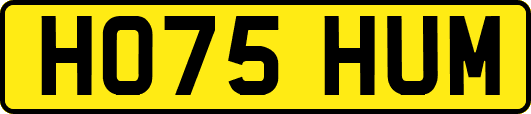 HO75HUM
