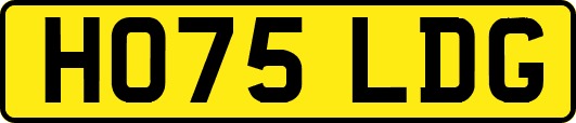 HO75LDG