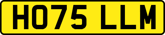 HO75LLM