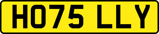 HO75LLY