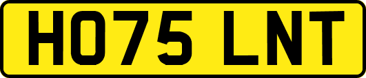 HO75LNT