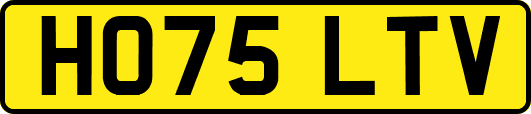 HO75LTV