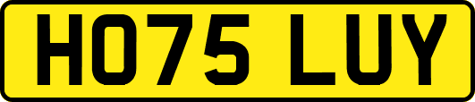 HO75LUY