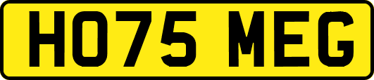 HO75MEG