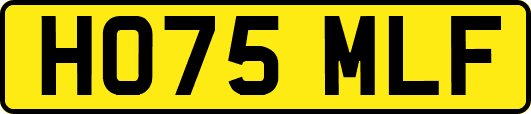 HO75MLF
