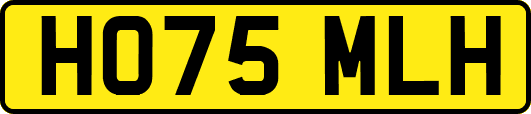 HO75MLH