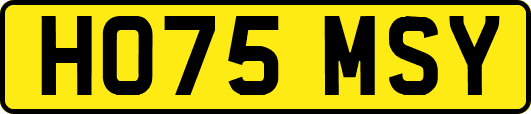 HO75MSY